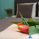 Lejlighed 365pam - Przytulne Szafirowa Mierzeja