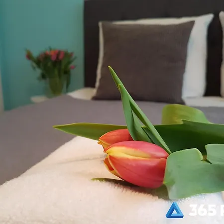 Apartmán 365pam - Przytulne Szafirowa Mierzeja
