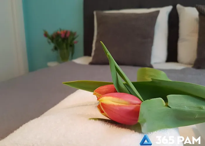 Apartmán 365pam - Przytulne Szafirowa Mierzeja